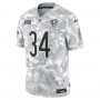 Walter Payton Chicago Bears Nike 2024 Salute to Service Retired Player Limited Jersey - Arctic Camo