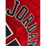 Men's Chicago Bulls Michael Jordan #45 Throwback Mitchell & Ness Red 1994-95 Hardwood Classics Player Jersey