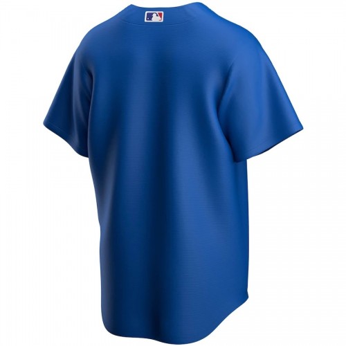 Men's Chicago Cubs Nike Royal Alternate Team Jersey