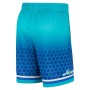 Men's Charlotte Hornets Nike Green 2021/22 Swingman Shorts - City Edition