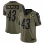 Troy Polamalu Pittsburgh Steelers Nike 2021 Salute To Service Retired Player Limited Jersey - Olive