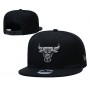 Chicago Bulls Silver Logo Snapback Cap