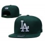 Los Angeles Dodgers Green White Logo Snapback Hat