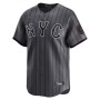 Francisco Alvarez New York Mets Nike 2024 City Connect Limited Player Jersey - Graphite