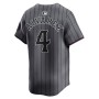 Francisco Alvarez New York Mets Nike 2024 City Connect Limited Player Jersey - Graphite